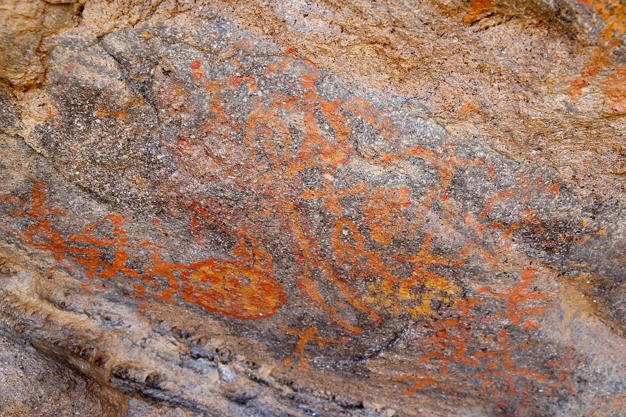 Kayseri'de hiç karşılaşılmayan görüntü! Dağda gezen vatandaş buldu