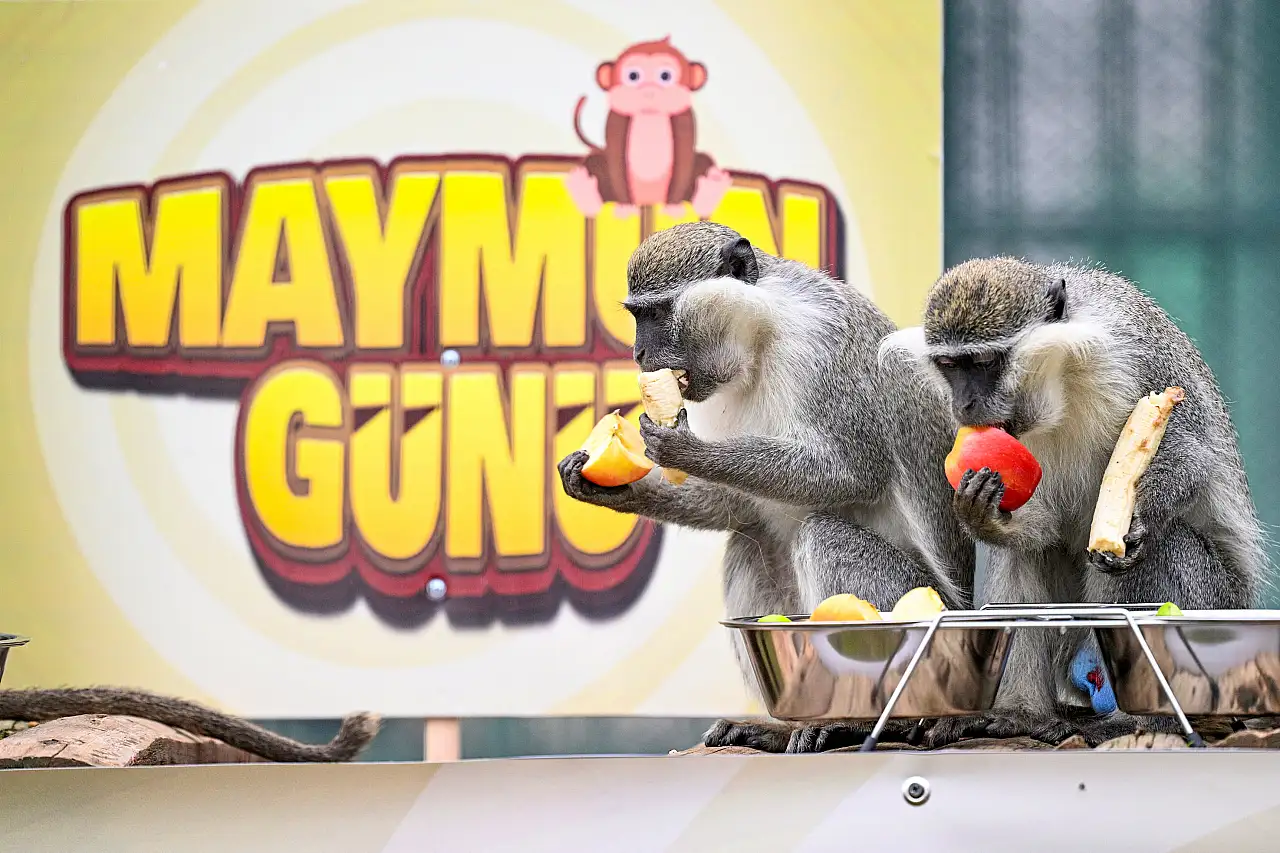 Kayseri'de muzlu kutlama