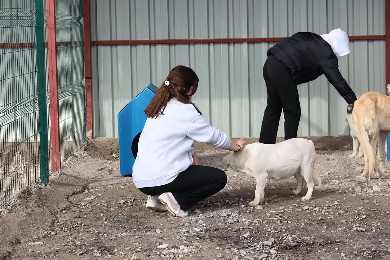 Gençlerden, sokak hayvanları için anlamlı etklinlik