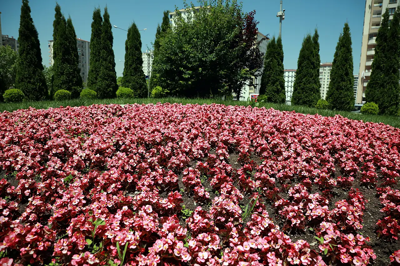 Kayseri'de yeni festival duyuruldu! Rengarenk olacak