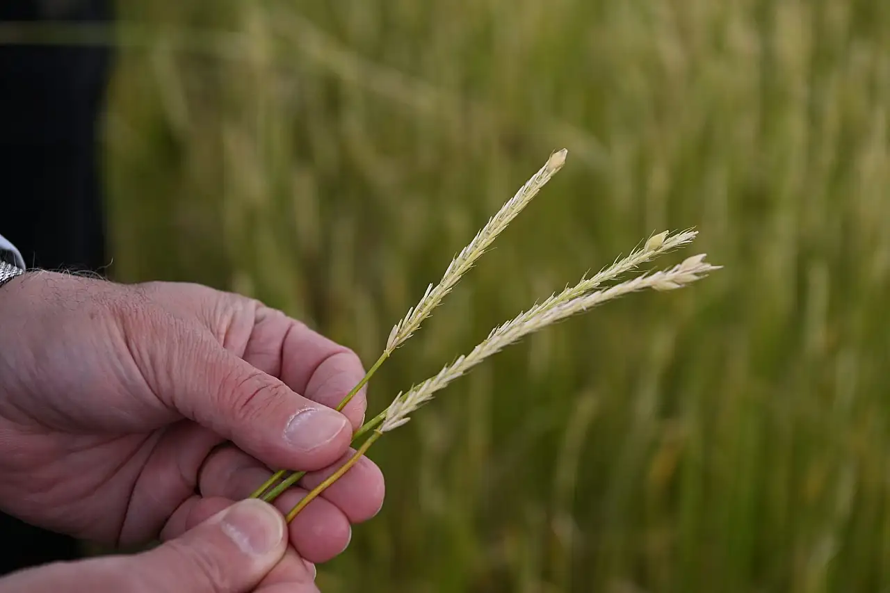 Karahüseyin'den sert tepki: Aidat almayı biliyorsunuz ama sorunları dile getirmiyorsunuz! Böyle giderse batar