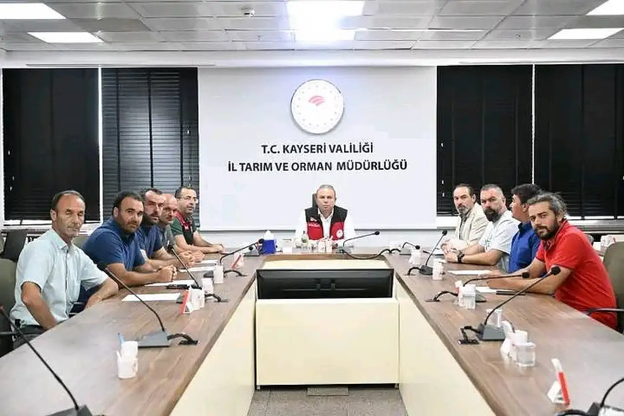 Kayseri'de festival yapılacak! Bakın festivali kimler yapıyor?