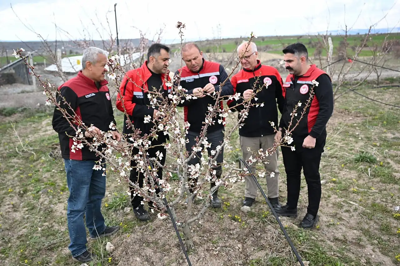 Kayseri'de zirai don mesaisi. İşte son durum…