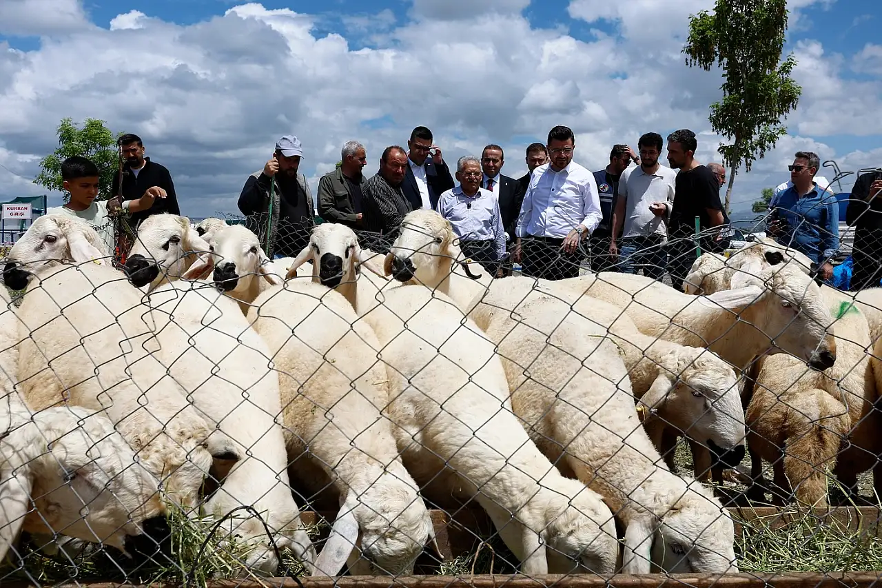 Kayseri'de kurban pazarlığına Başkan Büyükkılıç hamlesi!