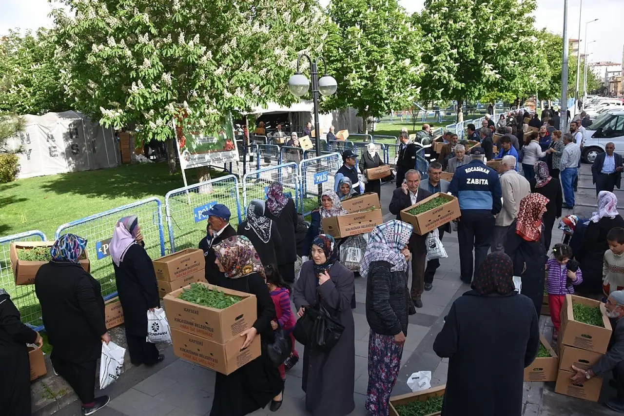 Kayseri'de yarın ücretsiz domates fidesi dağıtılacak! 4 farklı yer belirlendi
