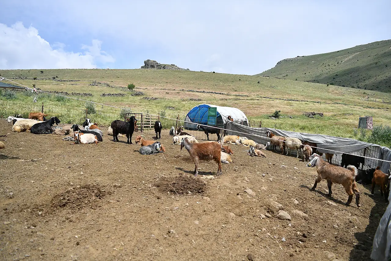 Kayseri'de aranan su bulundu