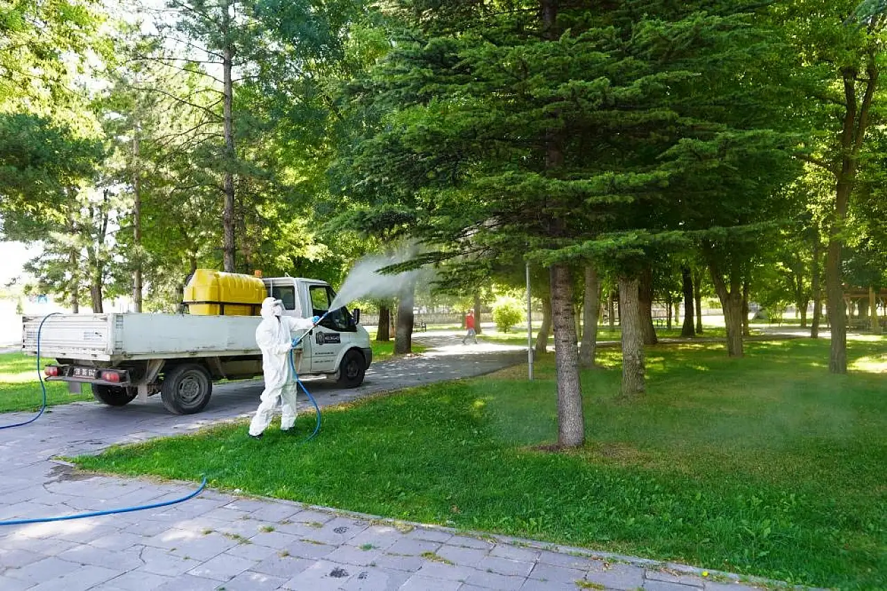 Melikgazi Belediyesi larva ve haşeralarla mücadelede!