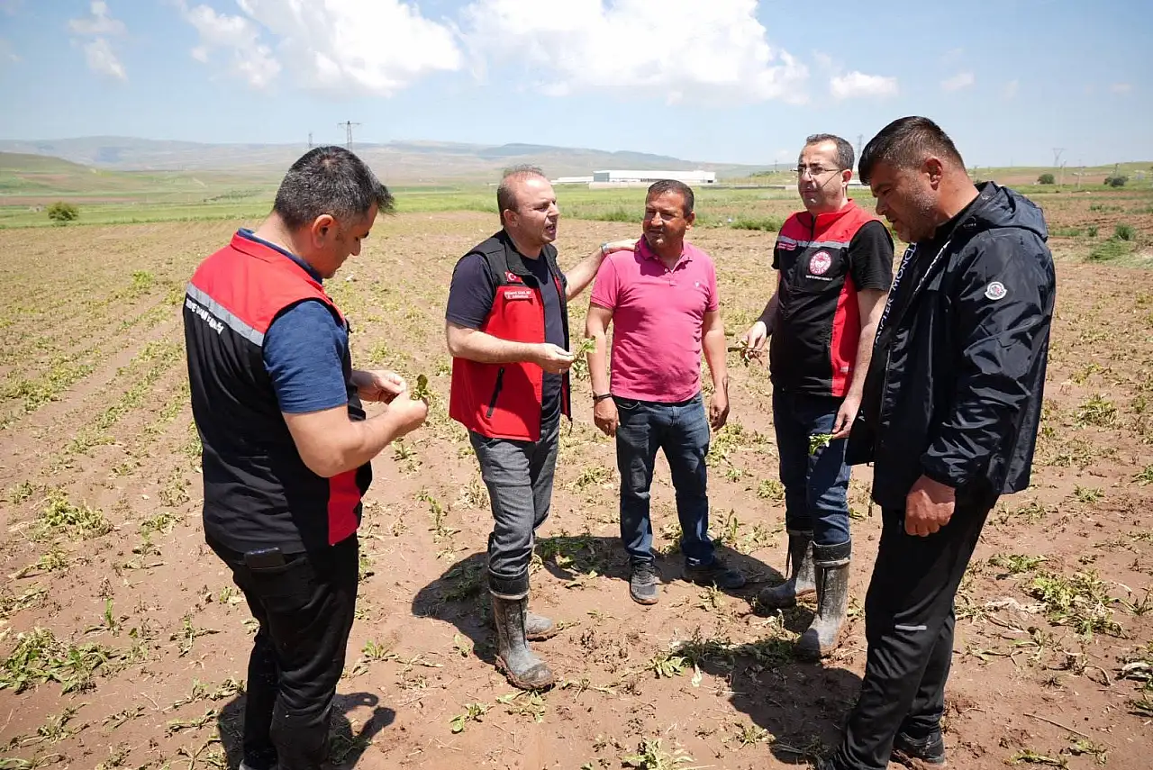 Kayseri'de yağmur ve dolu sonrası zarar büyük mü?