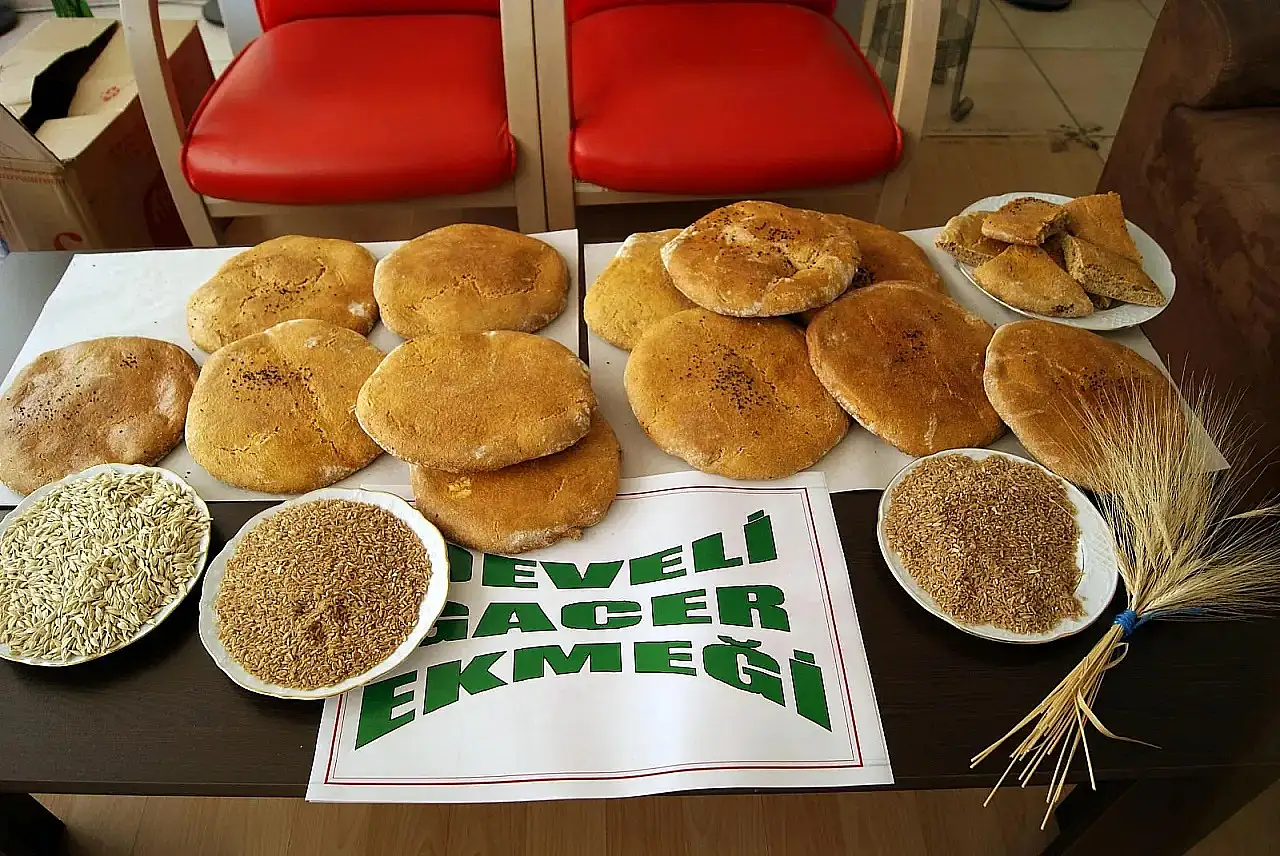Sadece Kayseri'de üretiliyor! 38 çeşit yemeği yapılıyor, hasat başladı