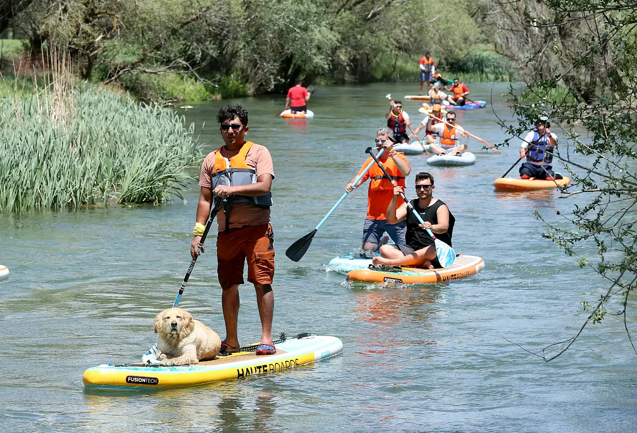 Kayseri bu köpeği konuşuyor