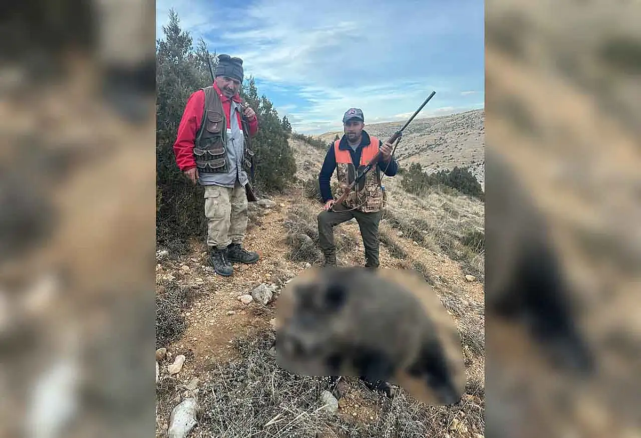 Kayseri'de çiftçileri bezdirdiler! Araziye çıkıldı, 75'i vuruldu
