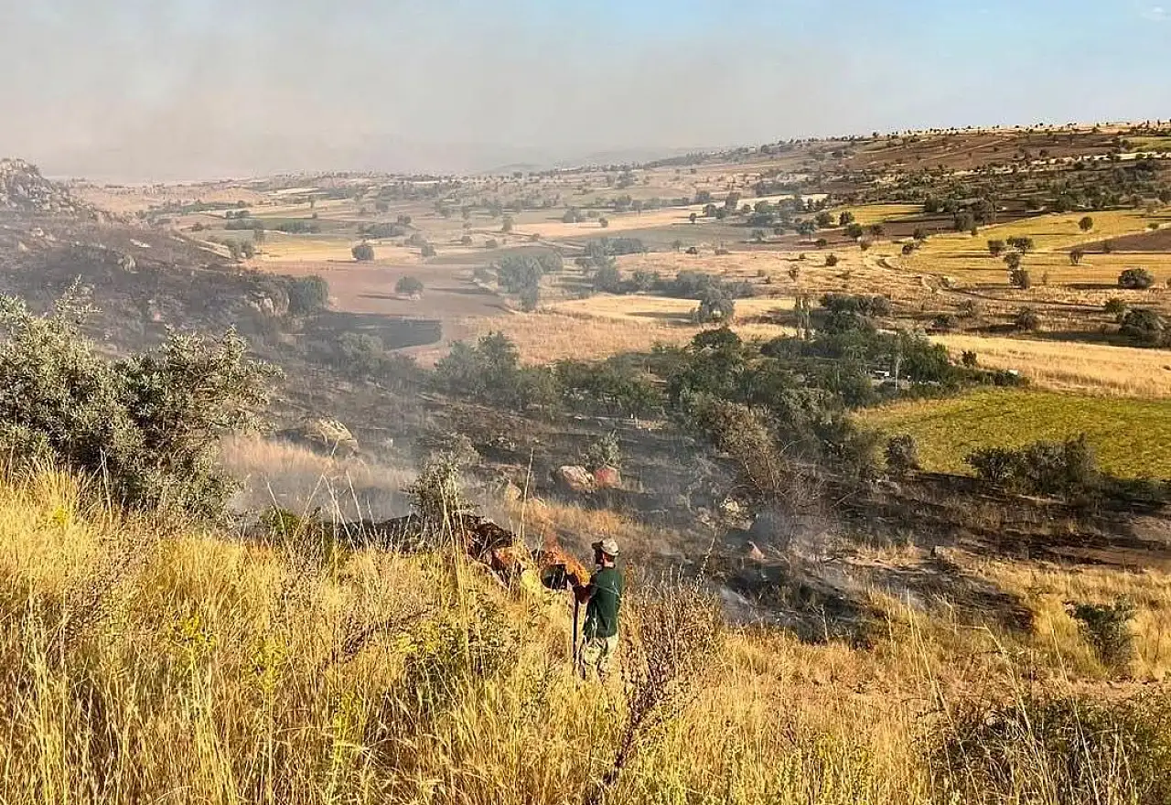 Kayseri'de bağ yangını