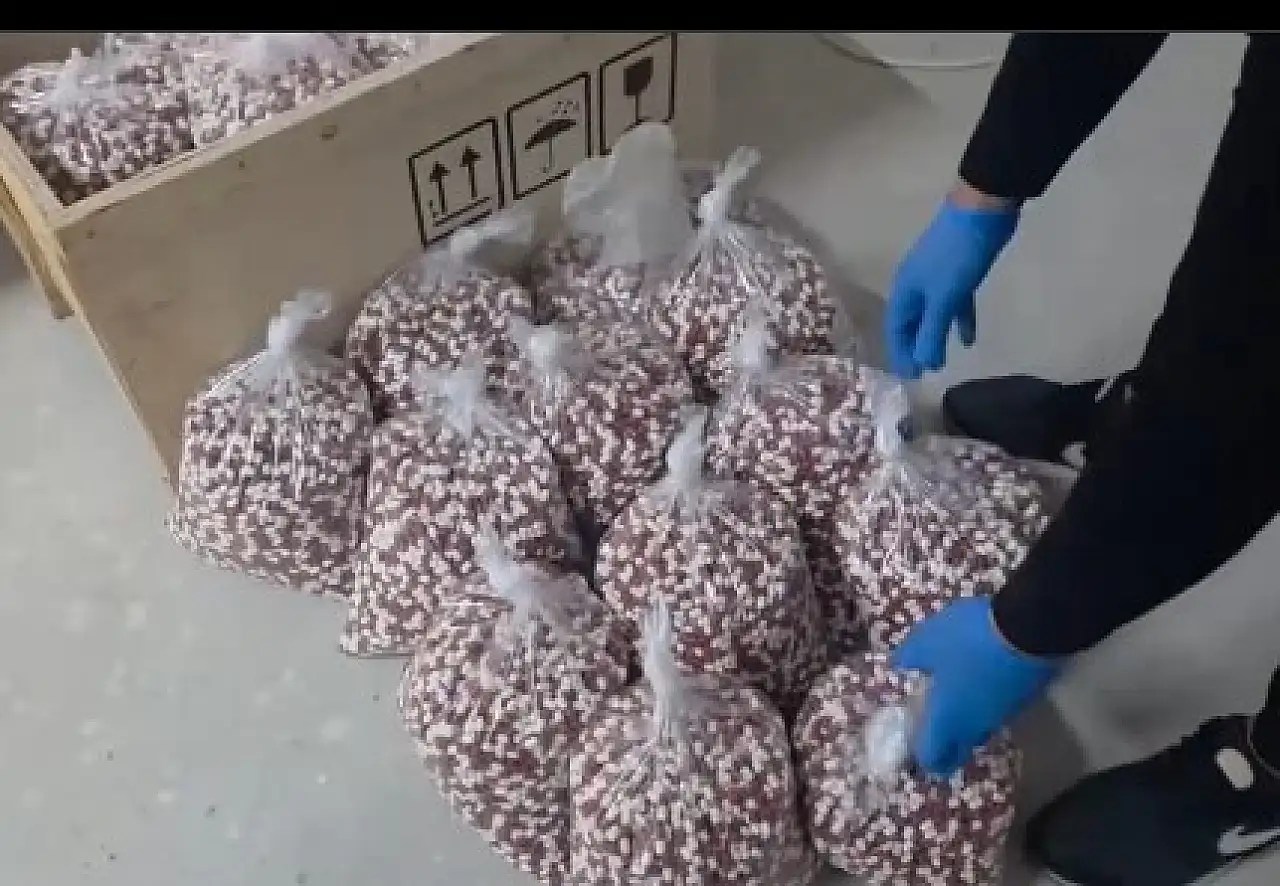 72 il aynı anda harekete geçti: 970 zehir taciri yakalandı