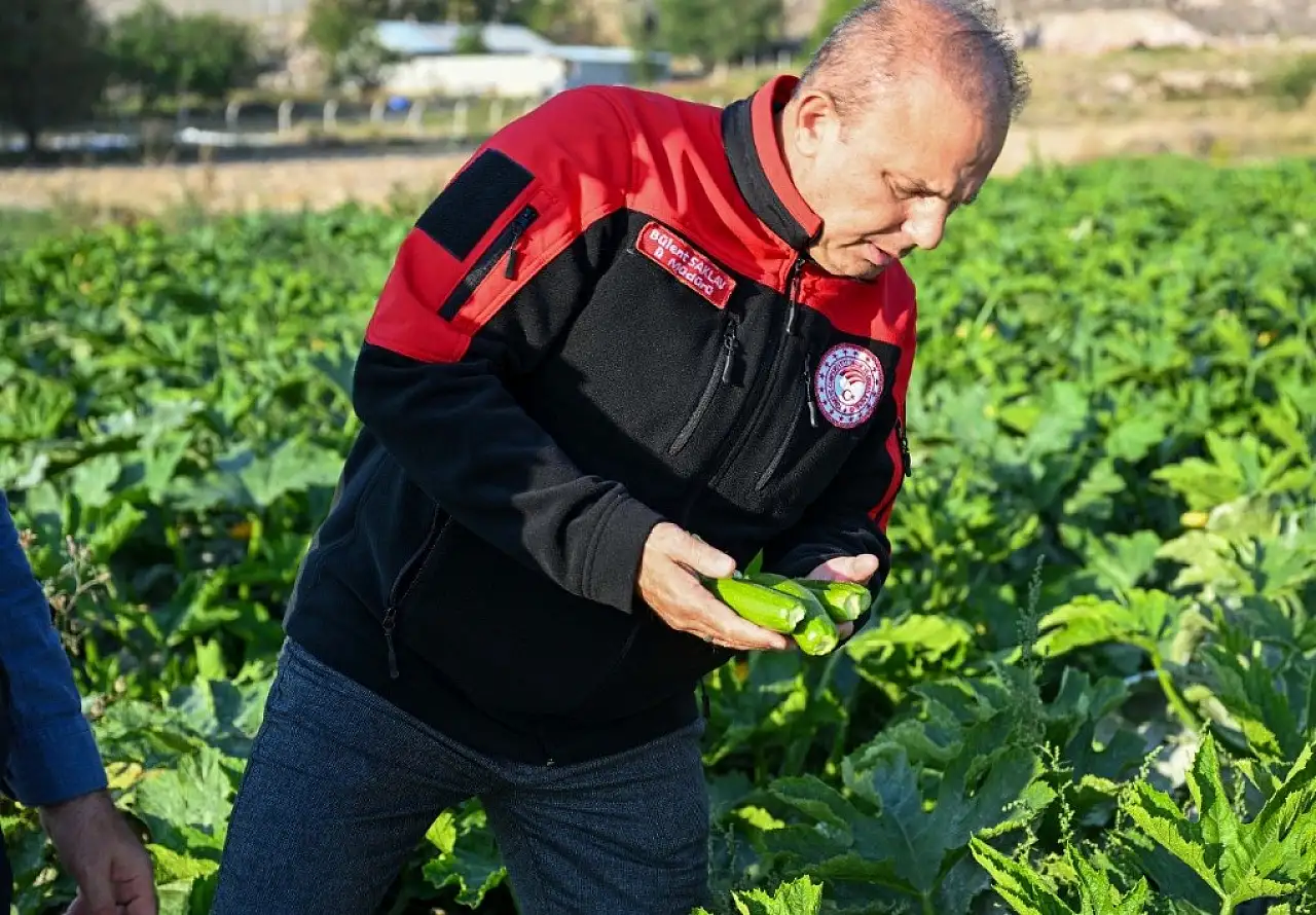 Kayseri'de kabak, marul ve yeşil soğan üretimine yakın takip