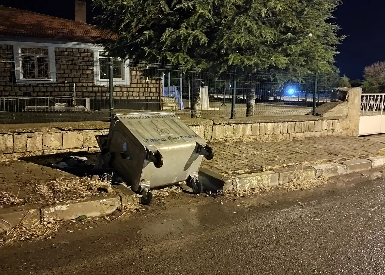 Kayseri'nin o ilçesinde rüzgar ağaçları kökünden söktü!
