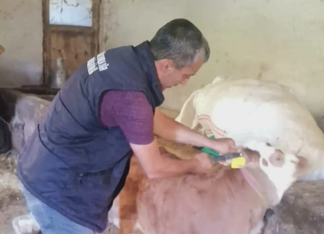 Kayseri'de dikkat çeken artış! Sayı 125 bine yükseldi