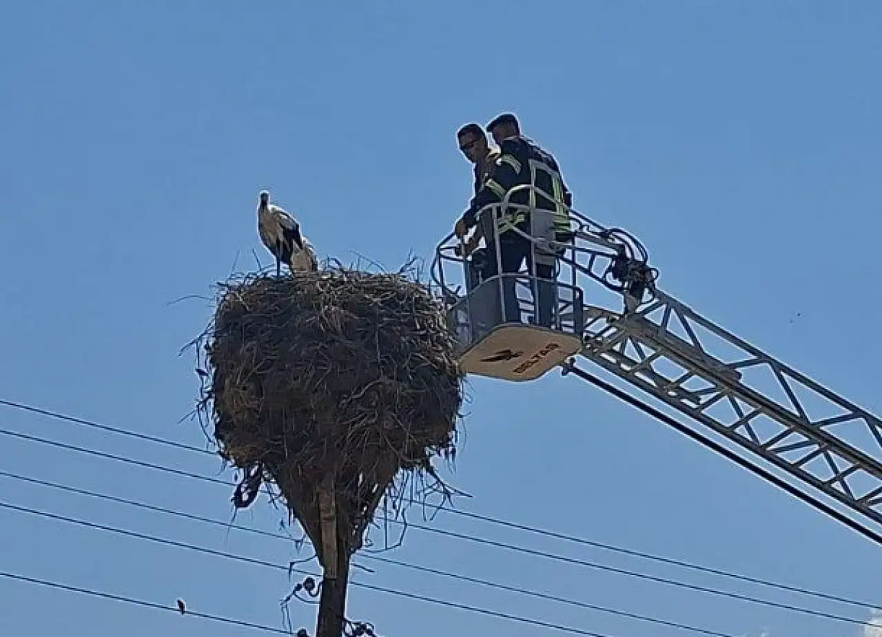 Tomarza'da 3 gündür aç ve susuz kalan yavrular kurtarıldı