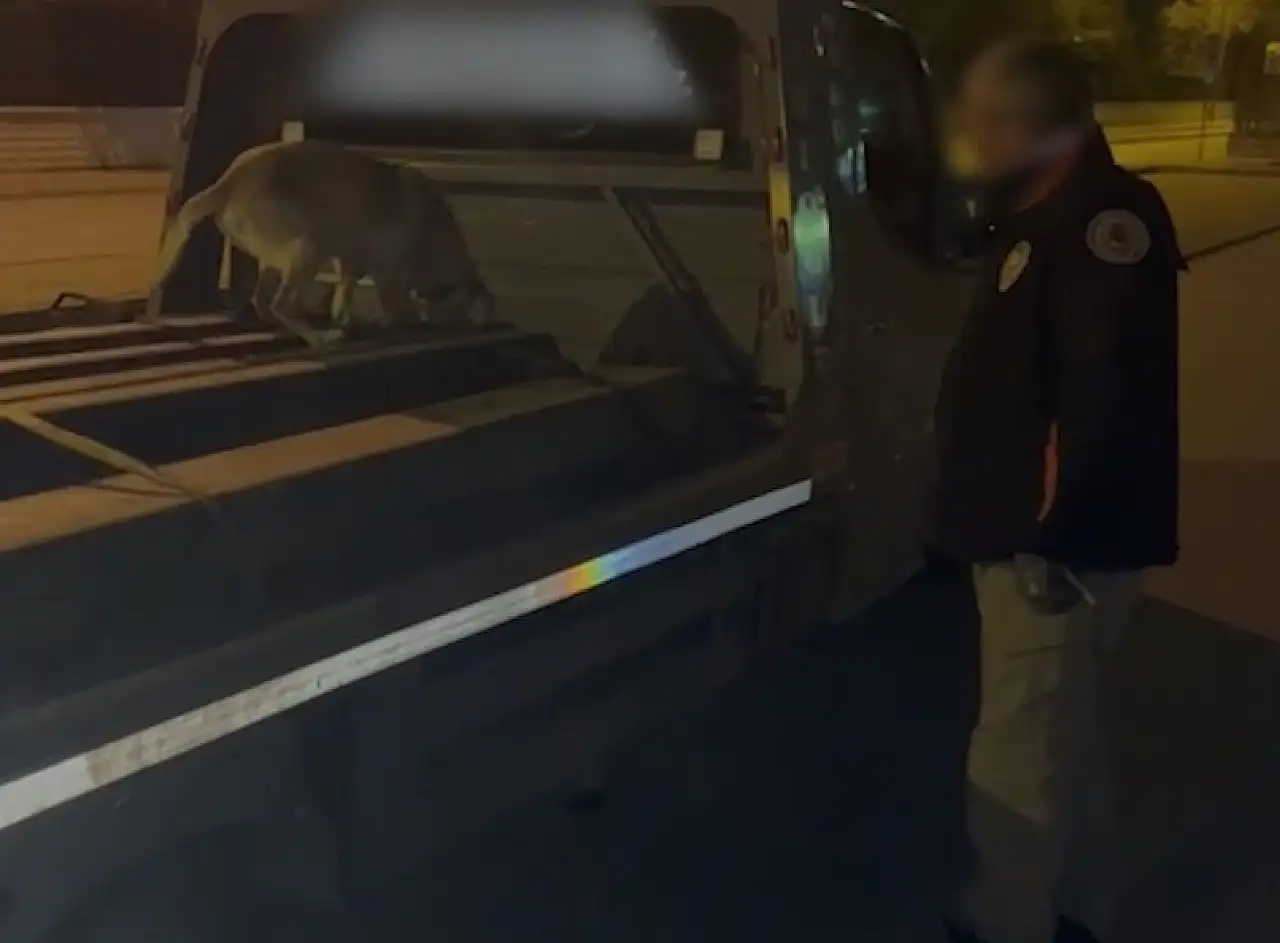 Kayseri'de tarihi rekor! En yüksek miktarda uyuşturucu ele geçirildi