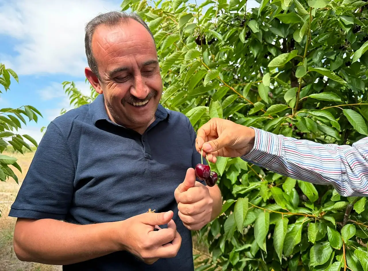 Kayseri'nin kiraz gururu Avrupa'ya gidiyor