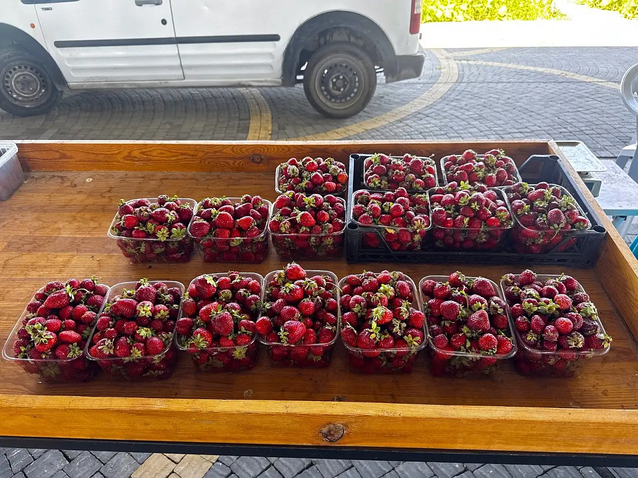 Kayseri'de organik gıdanın adresi belli oldu!
