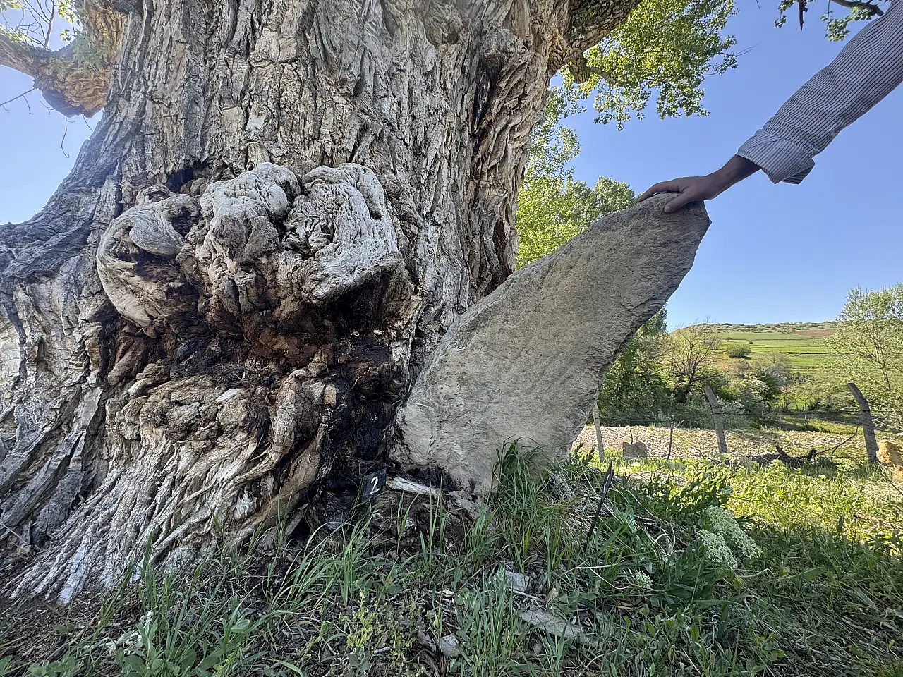 Dünyada eşi benzeri olmayan anıt mezarlık Develi'de