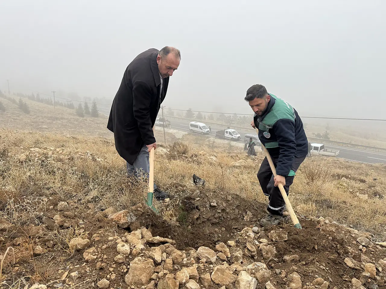 Kayseri'de o bölgenin rengi değişiyor! Bin 200 tane ekildi