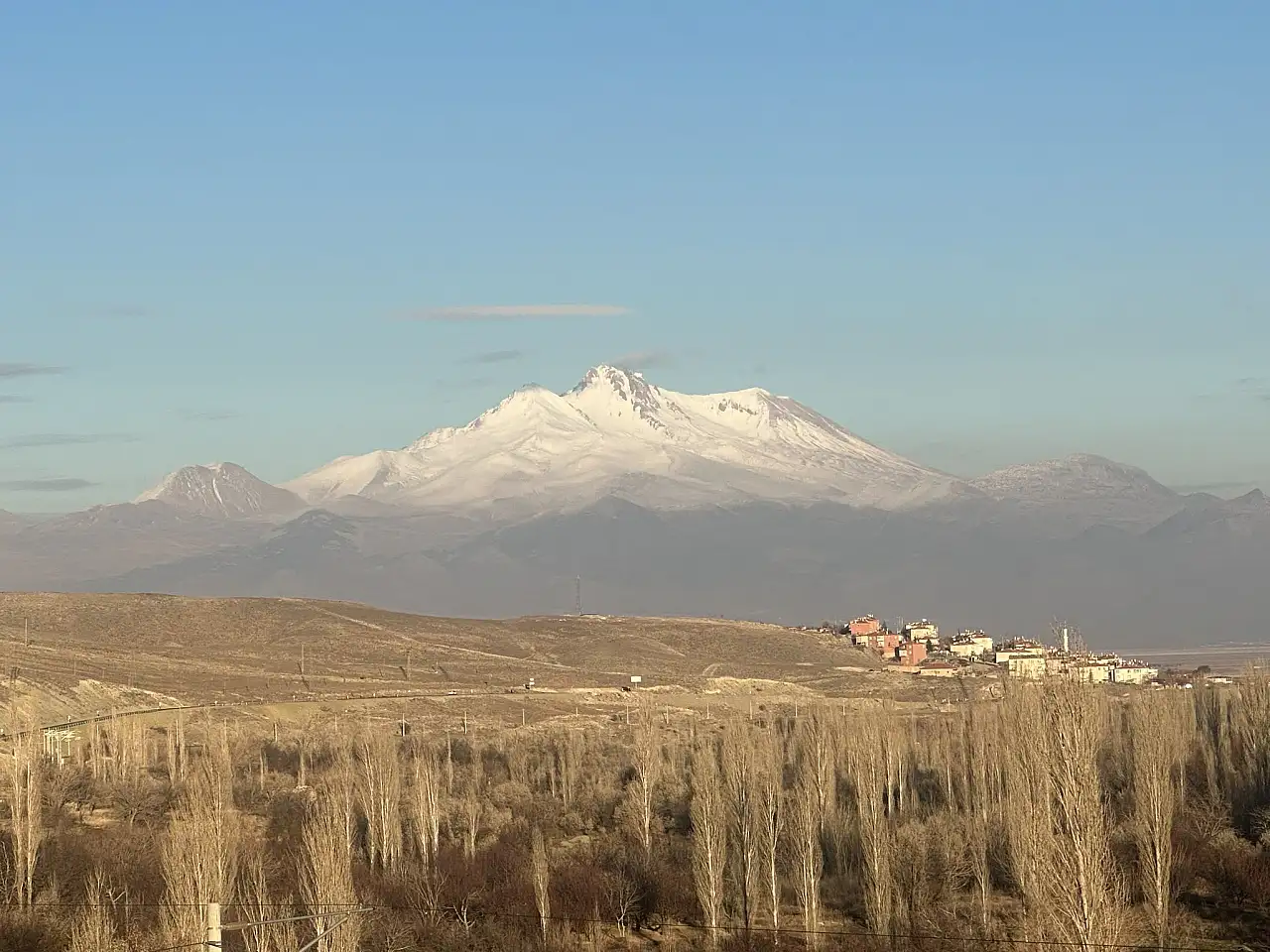 Kayseri'de değeri pek bilinmiyor, ama Hollandalılar, Bombusların peşinden koşuyor