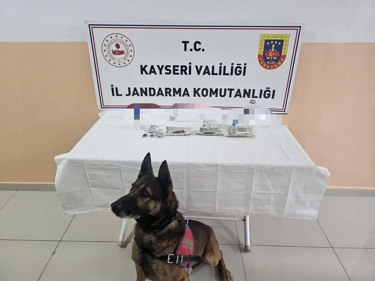 Tomarza'da gözaltına alınan 13 şüpheliden 12'si tutuklandı!