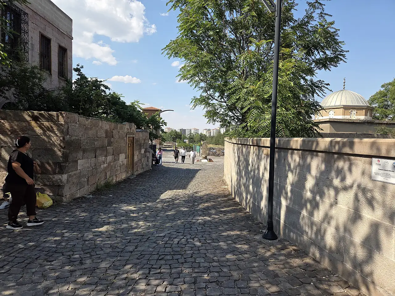 Kayseri'de tarihe fiyat biçildi! Osmanlı Sokağı'ndaki konak satışta