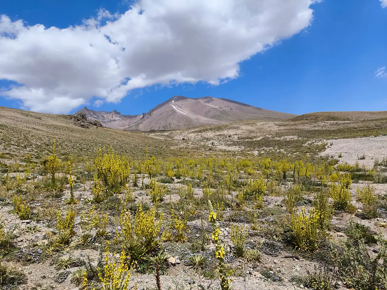 Erciyes'teki doğal oluşum dikkat çekti