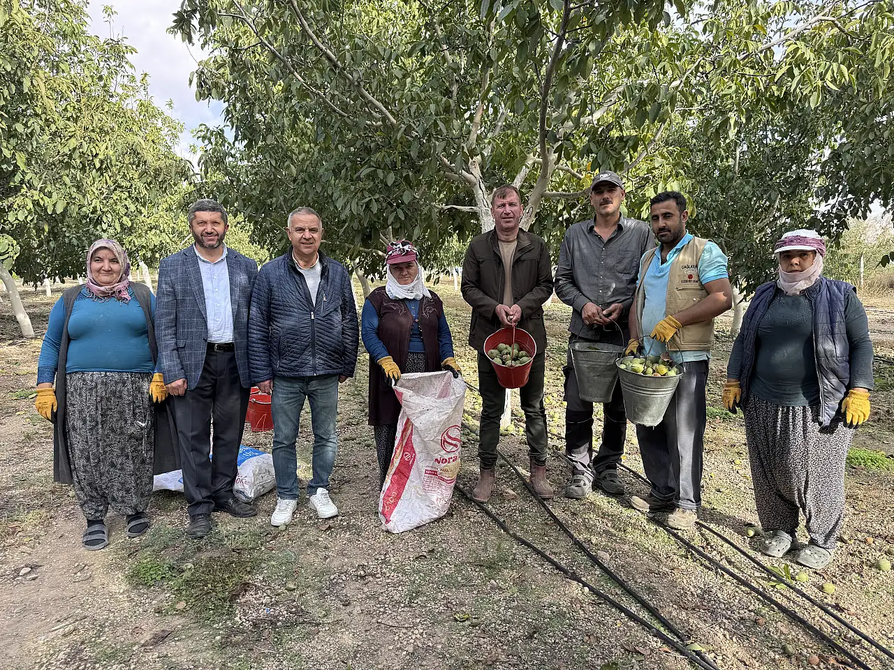 Kayseri'de boş fabrika bahçesi cevizliğe dönüştü! 2 bin ağaçtan 15 ton hedef