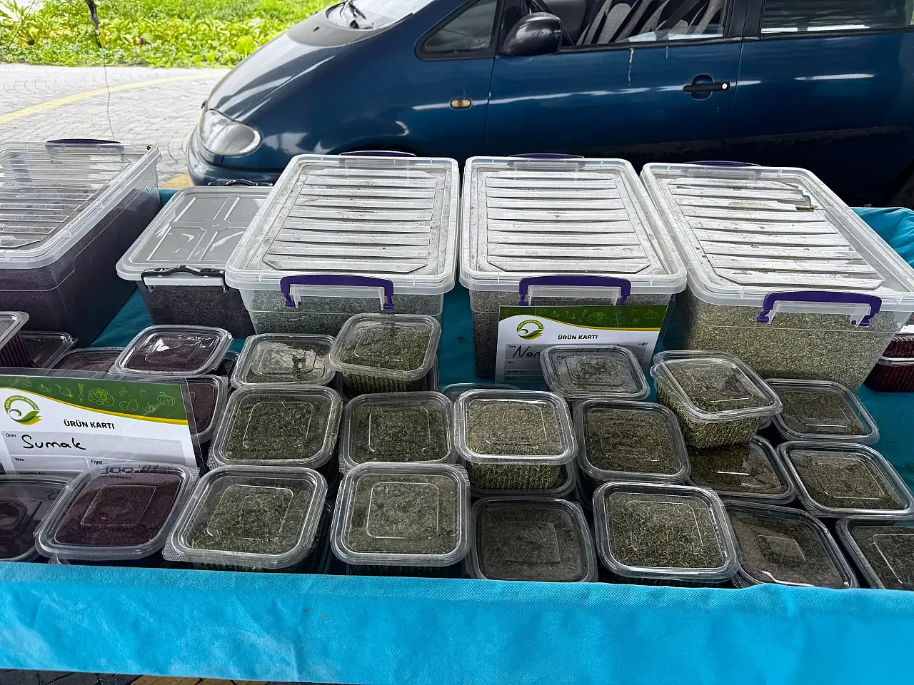 Pınarbaşı'nın meşhur kimyonu için Kayseri'de dikkat çeken adım
