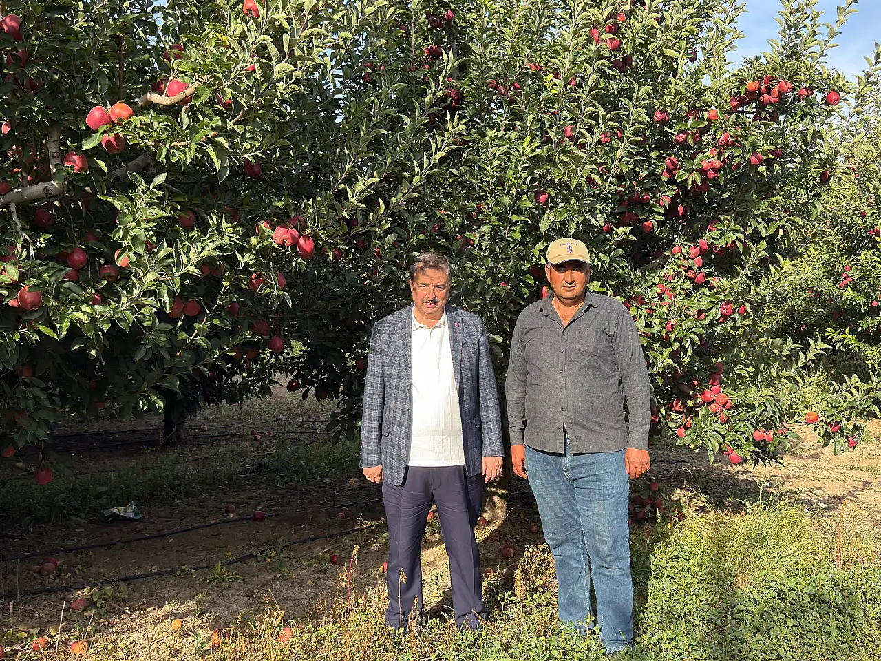 Kayseri'de 'elma diyarı' denilen mahallede elma bereketi!