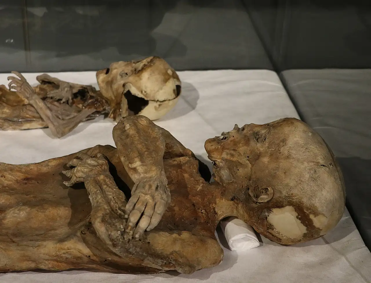 Çocuk mumyalarından gözyaşı şişelerine kadar binlerce eser bu müzede