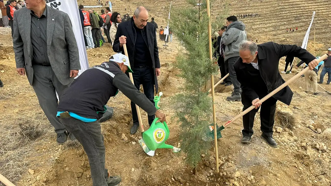 Ali Dağı'nda 1111 fidan toprakla buluştu