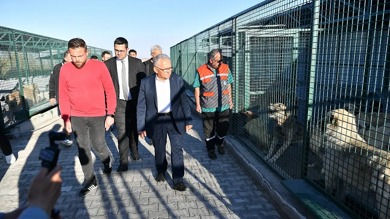 Başkan Büyükkılıç'tan sahipsiz hayvanlara destek
