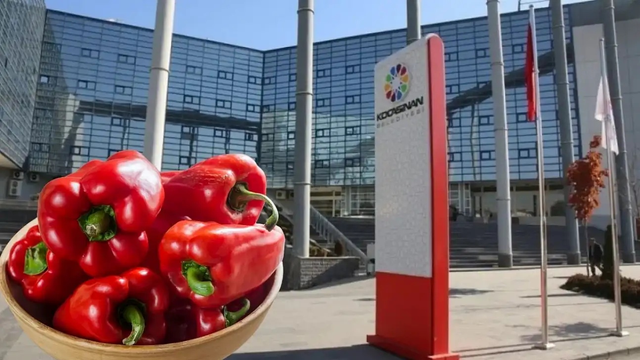 Belediye ücretsiz tohum dağıtacak