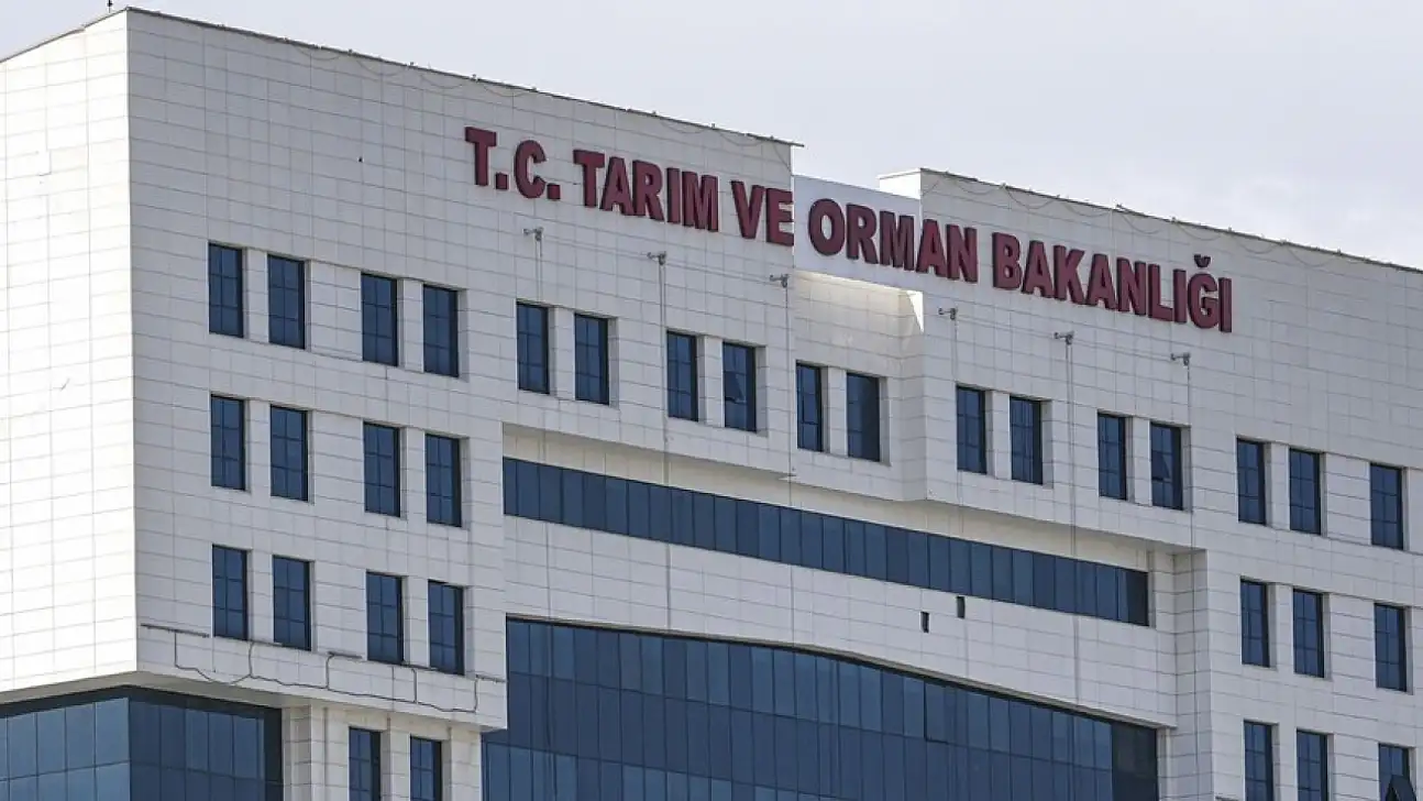 Bisküvi ve krakerde yeni dönem!