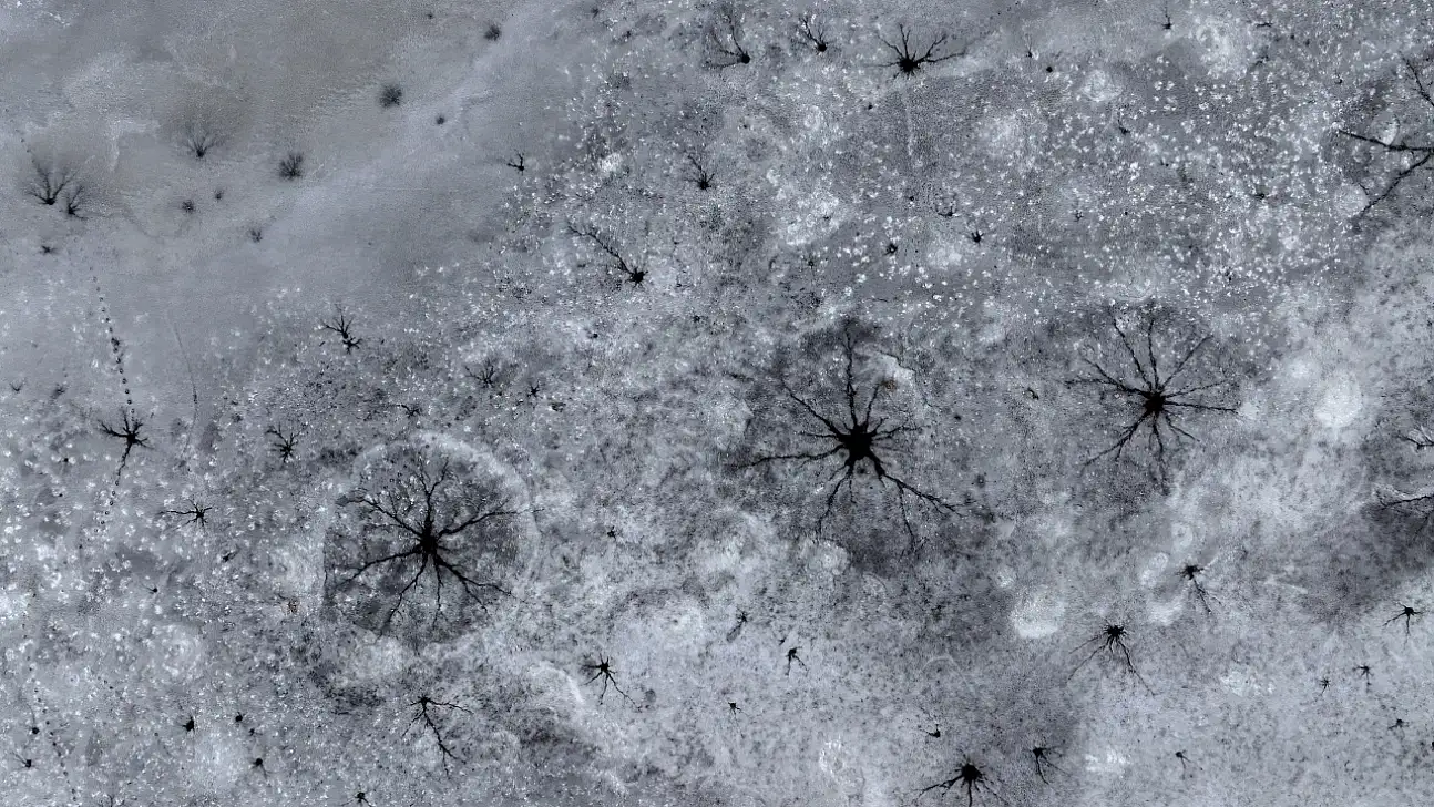 Bu görüntüler Kayseri'den: Göz bebeğini andıran buzlar oluştu