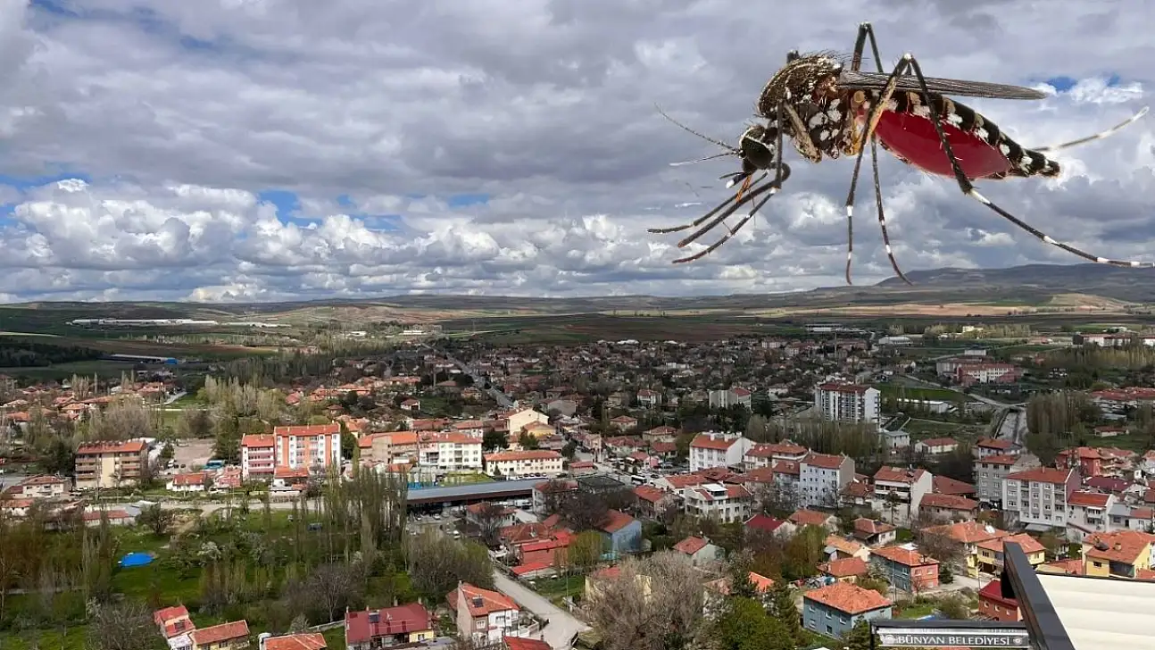 Bünyan'da sivrisineklere ezber bozan 'mizahlı' savaş!