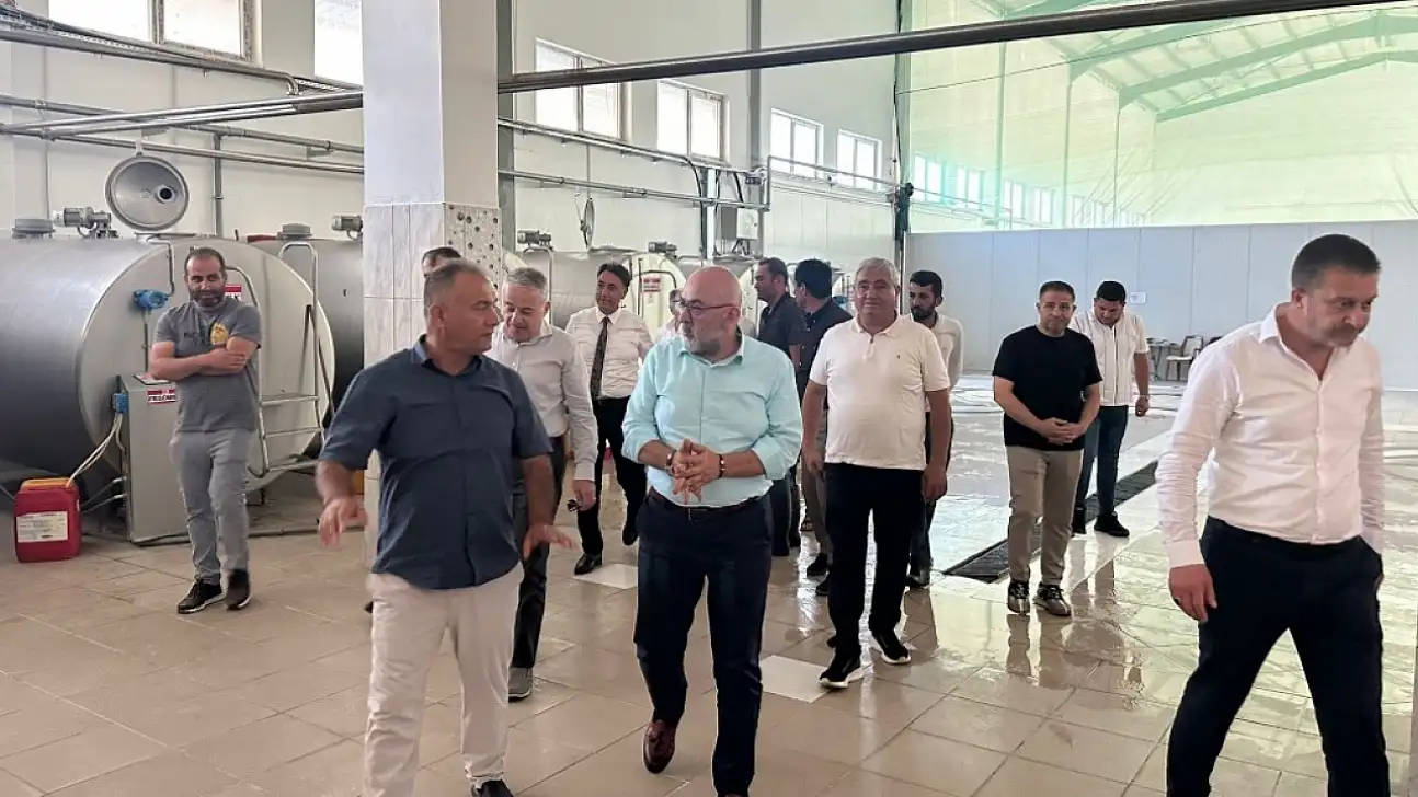 Cıngı'nın öve öve bitiremediği Kayseri markası: 'Anne ayranı gibi' dedi