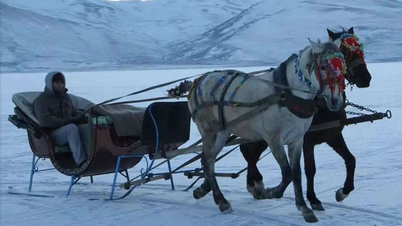 Develi'de 85 yıl önce ulaşım bakın nasıl sağlanıyordu