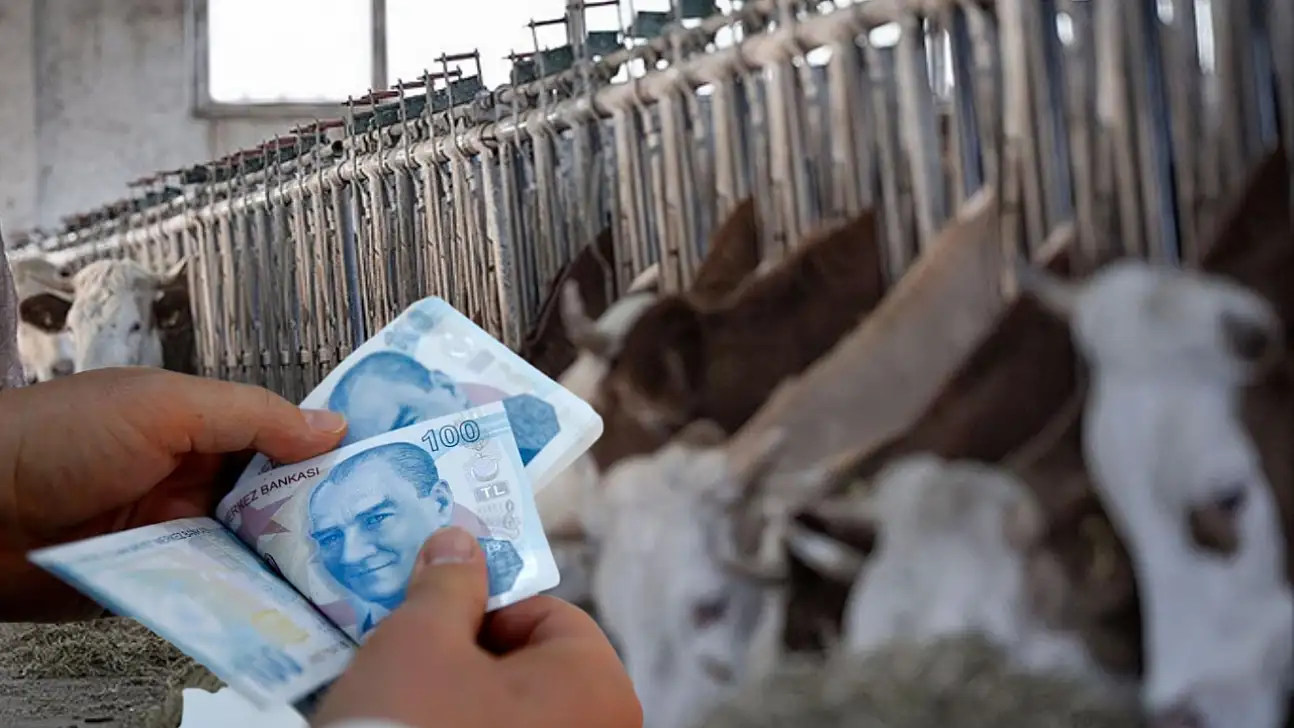 Dikkat! Destek ödemeleri için süreç başladı