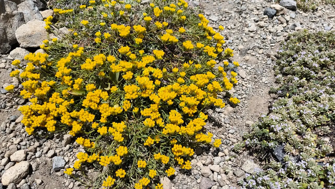 Erciyes'teki doğal oluşum dikkat çekti