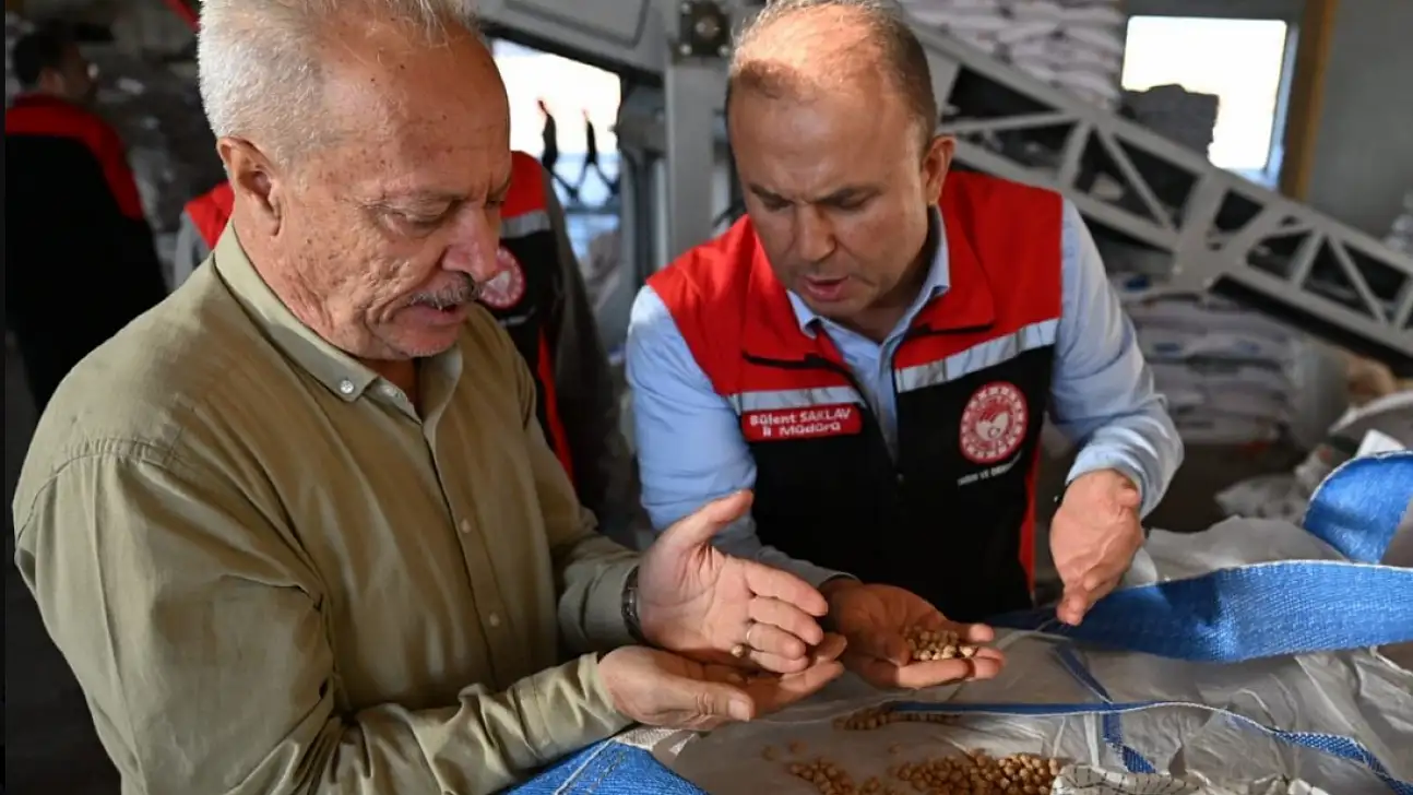 Felahiye'de çiftçinin emeği, devletin desteği buluştu
