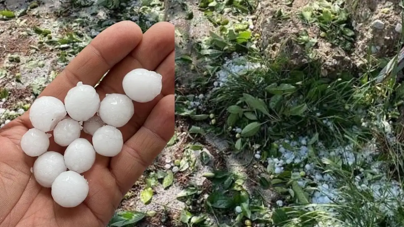 Kayseri'de bahçeleri dolu vurdu