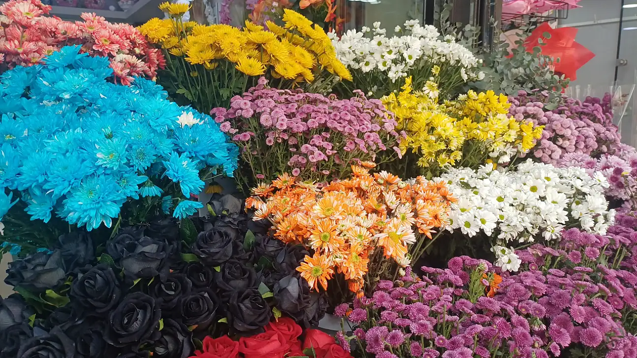 Kayseri'de çiçekler 'şoka' girdi