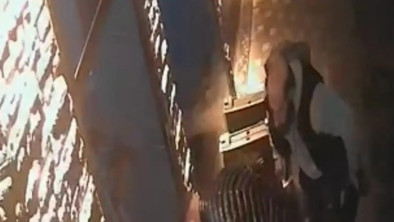 Kayseri'de nefes kesen anlar: Heimlich manevrası hayat kurtardı