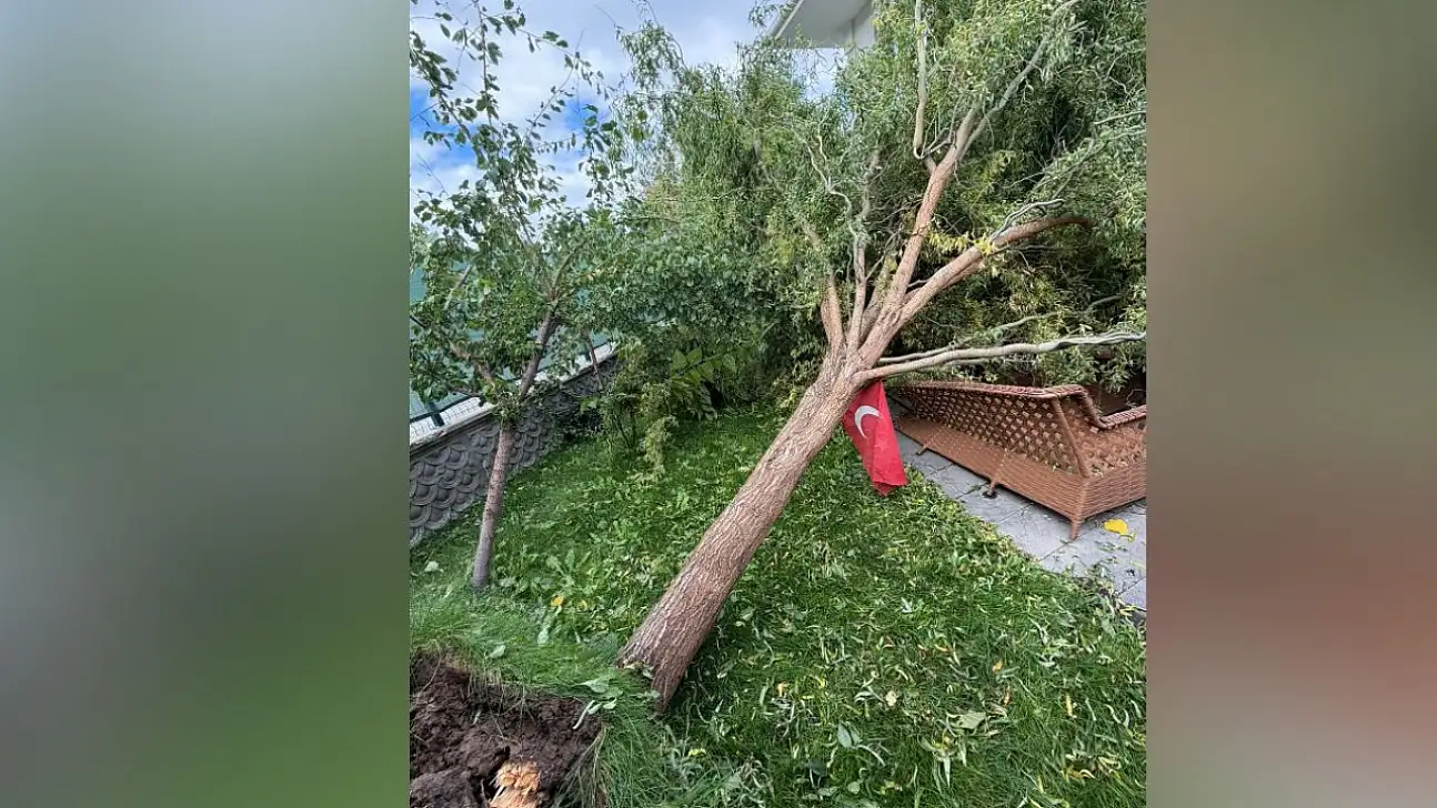 Kayseri'de fırtına etkisini gösterdi! Ağaç devrildi