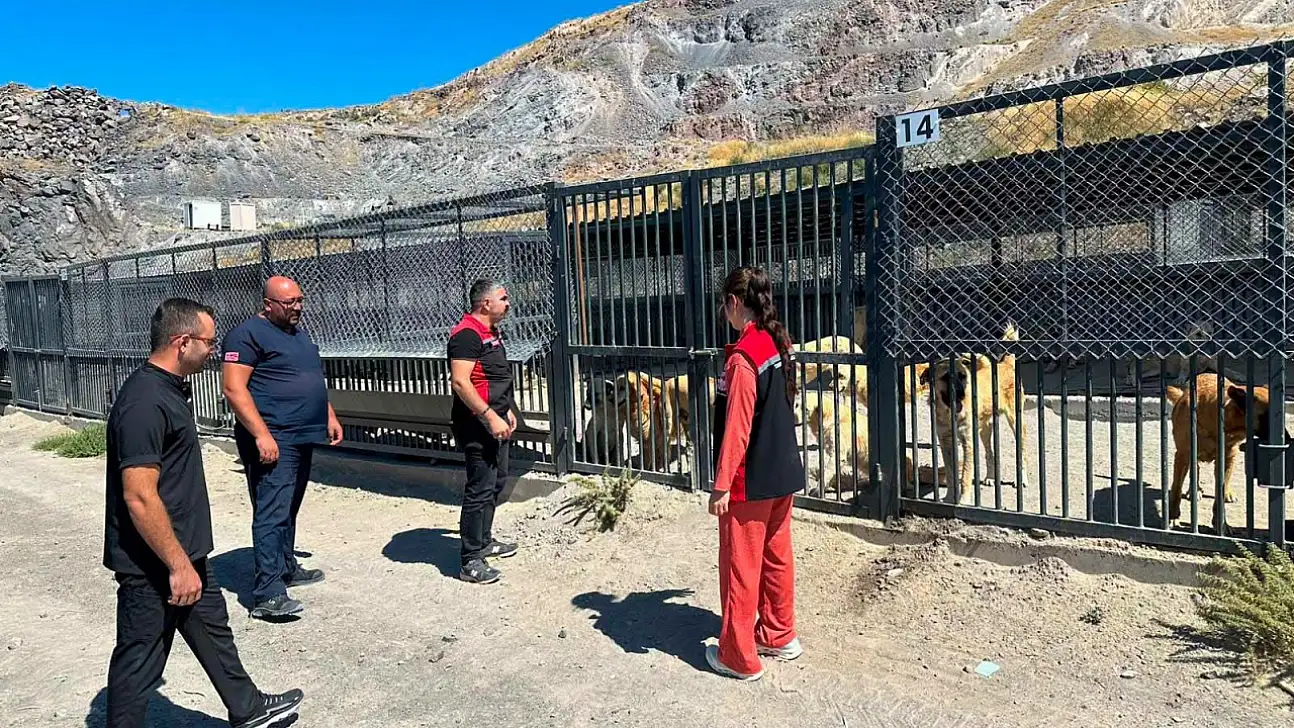 Kayseri'de salgın hastalıklara karşı alarm! Ekipler sahaya indi